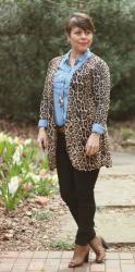 Chambray & Leopard 