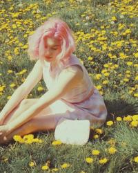 Spring wishes