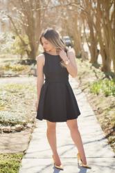 Outfit Post: Little Black Skater Dress