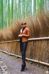 Bamboo Forest