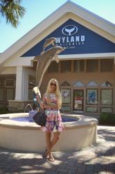 Wyland Galleries Grant Opening | $250 H&M Gift Card 