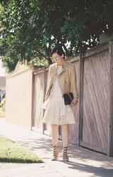 Moto Jacket & Eyelet Dress