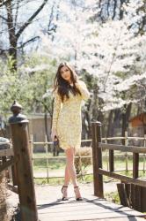 Yellow lace