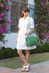 classic in a white shirtdress 