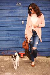 Puppy Steals the show (& #passion4fashion linkup!)