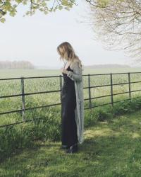 SPRING WANDERS