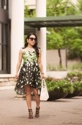 Leaves + Daisies Mesh High-Low Dress