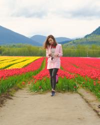 Tulip Fever at Agassiz