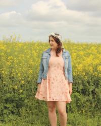 Yellow Fields of Flowers