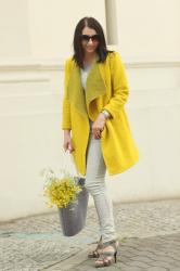 Yellow & gray
