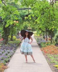 Alice in Wonderland + The Gardens