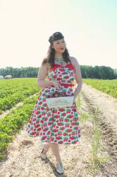 Strawberry Patch || Unique Vintage Style Society
