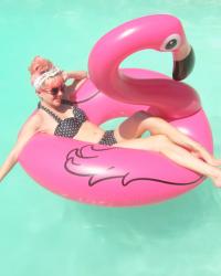 Red Dolly Swim & Flamingos