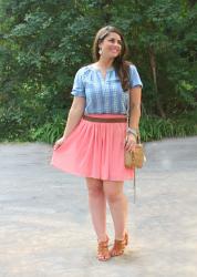 Embroidered Chambray + Pink Skirt