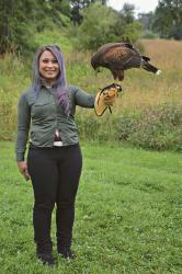 *hawk walk at new england falconry*