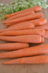 Homemade Carrot Soup