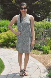 {outfit} The Splendid Zebra Dress