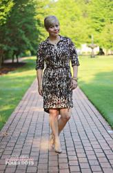 Leopard Shirt Dress