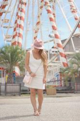 Touches de rose et grande roue