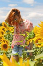 Tournesols