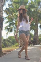 Palm trees