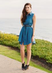 denim adler dress