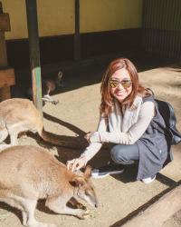 Sydney Day 2: Kangaroos, Koalas and Mountains