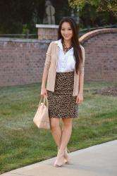 Workwear Wednesday:  The Animal Print Skirt