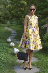 Fashion blogger meets ducks: girly and chic outfit