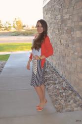 Chevron Stripe Skirt