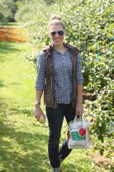 Apple Picking!