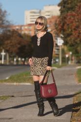 Leopard Mini Skirt