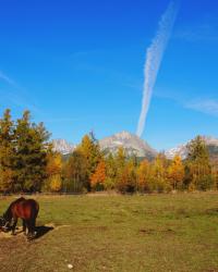 high tatras 