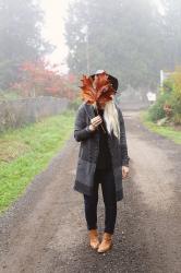 FOG & LEAVES