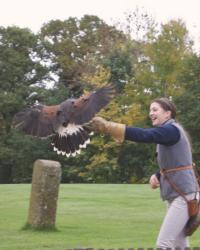 Our trip to the International Centre for Birds of Prey in Newent... (PICTURE HEAVY)