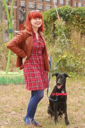 Outfit: Red Plaid Shirt Dress with a Brown Leather Jacket, Blue Tights, & Leopard Flats