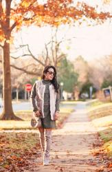 Faux Fur Vest + Sweater Dress