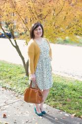 Wearing a Dress in Winter