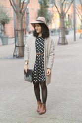 Polka Dot Dress