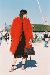 Paris Fashion Week SS 2016....Marianne