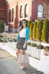 Leopard Print Skirt