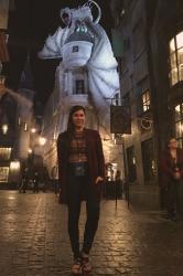 {outfit} The Last in Diagon Alley