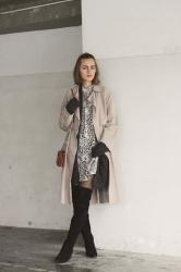 Snake printed dress and leather coat