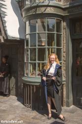 Entering the Wizarding World