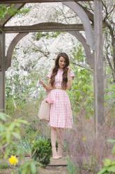 Eliza J Pink Gingham Spring Dress