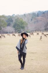 LuLu*s in Japan: Nara Deer Park