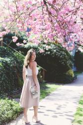 A Pink Moment