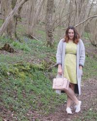 Weekend Woodland Walks