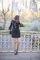 Little Black dress in Central Park