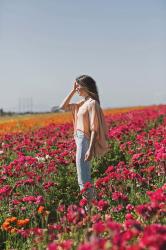 Carlsbad Flower Fields